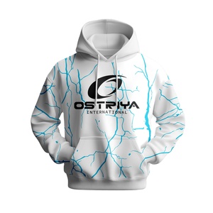Nouveau style 2026 – Sweat à capuche unisexe épais en polaire 100 % polyester 250g, décontracté, avec poches, pour l'hiver, personnalisable en gros avec logo, teinture unie - Product Image 1