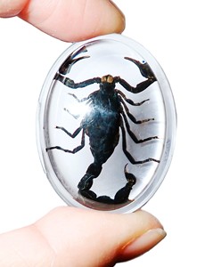 Escorpión Negro, Espécimen Real, Cabujón de Plástico Ovalado de 31x41 mm, Base Plana Transparente para Manualidades y Joyería - Product Image 2