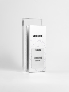 Trofeo Rectangular Plateado en Plata, Grabado, Premio Deportivo de la División A, Regalo Empresarial, Trofeo de Golf de Acero Inoxidable Sólido - Product Image 1