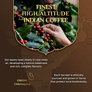 Capsules de café filtre Coffeeza du sud de l'Inde compatibles avec les machines Nespresso Original Line - Product Image 5