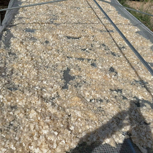 Vietnam exporta escamas de pescado seco/materias primas de pescado fresco precio barato buena calidad // Sra. Lily - Product Image 1