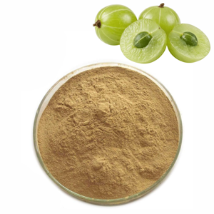Suministro a Granel de Polvo Puro de Fruta de Amla 100% Natural, Polvo de Grosella India Rico en Vitamina C para el Crecimiento del Cabello y el Cuidado de la Piel - Product Image 1