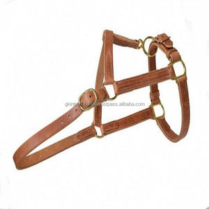 Licou de cheval en cuir véritable, Double épaisseur, triple couture, finition bronzée de luxe, toutes tailles personnalisées, avec accessoires en laiton robustes - Product Image 6