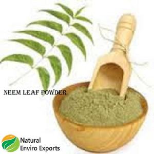 Polvo de hoja de Neem 100% puro y natural utilizado para productos antibacterianos y para el cuidado de la piel Polvo de hoja de Neem - Product Image 5