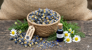 Hidrolato de Manzanilla Azul 100% Puro de Origen Vegetal de Delhi para Productos de Aromaterapia, Ideal para el Cuidado de la Piel, el Rostro y el Cabello - Product Image 3