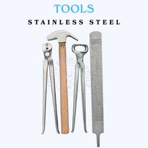 Kit Completo de Herramientas para el Cuidado de Pezuñas de Caballos con Estuche, Alicates para Recortar Pezuñas, Extractor de Clavos Afilado, Lima de Doble Cara y Martillo - Product Image 3
