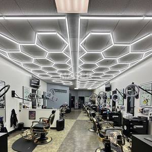 LED ışık altıgen tavan lambaları 14 ızgara bal peteği Lumire Salon Coiffeur berber dükkanı için çalışma ışıkları - Product Image 2