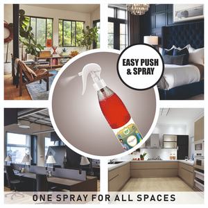 All in One Mega Combo Pack of 6 Eco Friendly Liquid Home Hygiene Combo Powerful Cleaning Solution for Bathroom Kitchen Laundry - Product Image 4