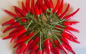 PRIX BON MARCHÉ PRIX PREMIUM QUALITÉ FROZEN RED CHILI FOURNISSEUR VIETNAMIEN - Product Image 3