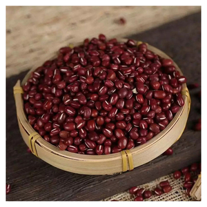 Frijoles Rojos Secos de Calidad de Exportación, Proveedor de Empaque a Granel, Frijoles Naturales para Distribuidores Internacionales - Product Image 1