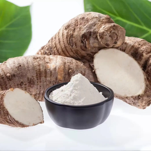 ผงรากมันเทศออร์แกนิกจากเวียดนาม – แป้งปลอดกลูเตน ขายส่งจำนวนมาก - Product Image 4