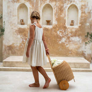 Panier à roulettes en rotin pour filles, sac d'école, valise, panier à roulettes pour la décoration de chambre d'enfant - Product Image 5