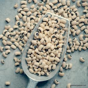 Guisantes negros saludables y orgánicos de alta calidad disponibles para pedidos al por mayor y en grandes cantidades - Product Image 6