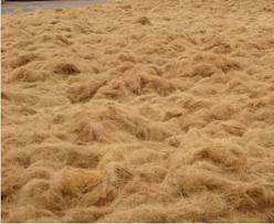 Fibra de Coco de Alta Durabilidad y Versatilidad, Fabricante y Exportador Líder en India - Product Image 3