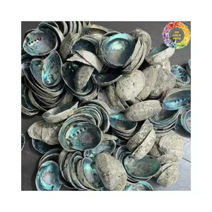 Concha de abulón de Vietnam, material decorativo de conchas marinas para componentes de joyería y fabricación de artesanías - Product Image 1