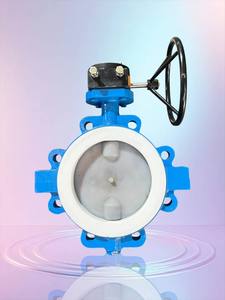 Vanne papillon Nalisha à commande pneumatique et manuelle pour vapeur, huile et produits chimiques - Product Image 4