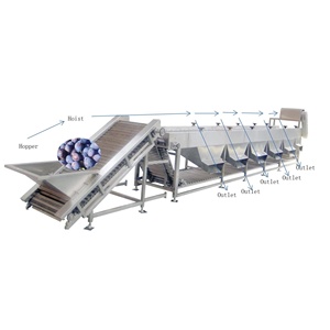 Machine de calibrage des tomates et des poivrons en acier inoxydable pour les emballageuses - Product Image 5