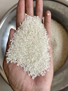 SUSHI RICE -JAPONICA Arroz redondo japonés de fábrica de Vietnam | WhatsApp + 84-944 500 504 - Product Image 5
