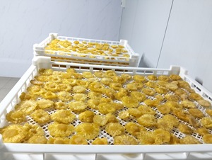 BLUE LOTUS FARM Piña Liofilizada Dulce 100% Piña, Snack de Fruta a Granel, Listo para Comer, Orgánico - Product Image 5