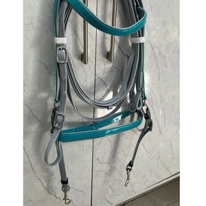 Ensemble de bridon pour cheval en PVC turquoise (Biothene) confortable et durable, avec frontale, muserolle et rênes assorties, imperméable, 4 tailles personnalisables - Product Image 2