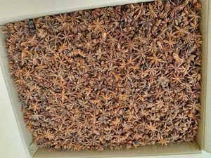 Anis étoilé entier séché de haute qualité, épices naturelles parfumées, 10 kg pour la cuisine et le thé - Product Image 5