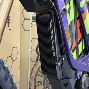 Nouveau modèle de véhicule électrique tout-terrain Light Bee, VTT électrique tout-terrain, moto tout-terrain 8kw 60v, qualité industrielle ODM/OEM - Product Image 3