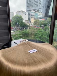 Produits chauds Usine d'extension de cheveux Prix de gros Cheveux vietnamiens droits Couleurs brutes humaines - Product Image 2