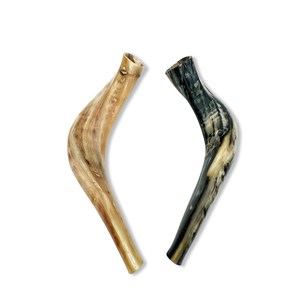 Cuerno de Carnero Kosher, Semipulido, Shofar |   Auténtico Cuerno de Shofar de Israel |   Corneta Judía, Chofar Original de Israel. - Product Image 1