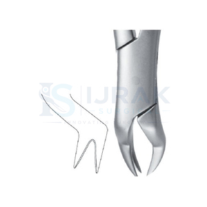 Forceps d'extraction dentaire en acier inoxydable, forceps manuels pour dents, griffes chirurgicales pour usage clinique - Product Image 6
