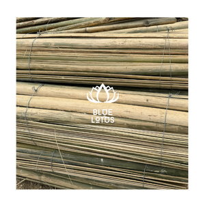 เสาไม้ไผ่ราคาดีที่สุด พร้อมขอบเรียบเนียน จากฟาร์มบัวสีน้ำเงิน - Product Image 3