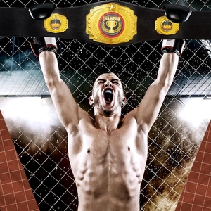Custom Championship Belt Wrestling Boxing MMA Champion Title Premium Leather Gold <b>Metal</b> <b>Plates</b> Personalized Logo OEM Maker <b>Metal</b> - Product Image 5