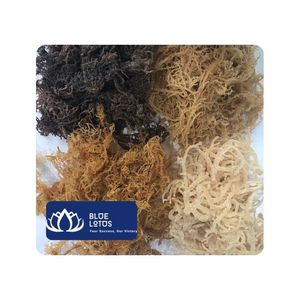 [HOT SELLING] | Wholesale BLUE LOTUS Natural 100% <b>Dried</b> Seamoss Pack for Food Industry Dessert Jelly Material Vietnam - Product Image 1
