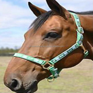 Caballo de nailon 100% de calidad de exportación, halter en color verde cosido con cinta de diseño, costura doble con hardware niquelado - Product Image 6