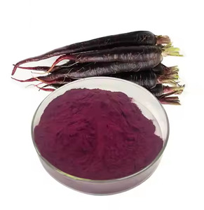 Polvo de Zanahoria Puro para Smoothies, Salsas y Recetas Disponible a un Precio Razonable - Product Image 1