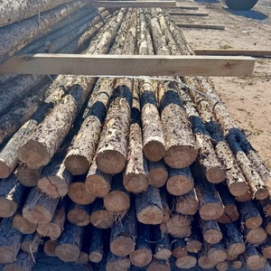 Premium Hardwood Logs Poles Durable Solid Timber Ideal for Agricultural Poles, Construction, and Landscaping - Product Image 6