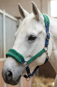 HM GLOBAL Harnais en cuir réglable rembourré en polaire de qualité supérieure pour l'équitation occidentale, avec boucles en acier, couleur et logo personnalisables - Product Image 2