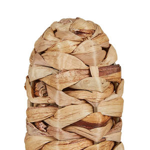 Decoración de Cactus de Jacinto de Agua Hecha a Mano al por Mayor, Figura de Planta del Desierto Tejida Natural con Brazos para Decoración del Hogar - Product Image 2