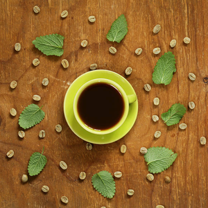 Vietnam <b>Robusta</b> <b>Coffee</b>, export grade bulk supply, OEM ODM service, natural unroasted green <b>beans</b>, MOQ 100Kg worldwide - Product Image 1
