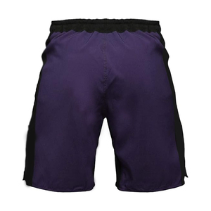 Nouveaux shorts de combat MMA respirants et légers 2026 pour hommes, séchage rapide, polyester/coton, logo avant, shorts d'entraînement performants - Product Image 2