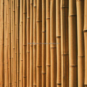 Venta al por Mayor de Cañas de Bambú de Vietnam |   Materiales de Construcción y Artesanía de Calidad de Exportación - Product Image 1