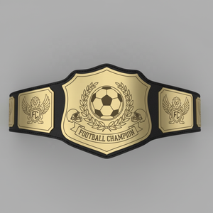 Cinturones de Campeonato Personalizados de Latón de 1 mm para Niños, para MMA, Judo, Karate, Boxeo, Lucha Libre, Kickboxing, Torneos Juveniles, Unisex - Product Image 1