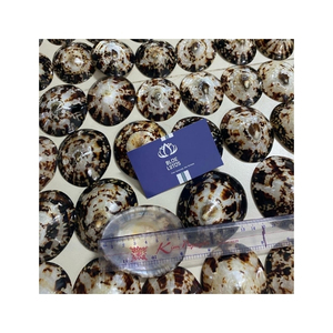 Expédition rapide Coquille de limette pour la création de bijoux et la décoration de cadeaux avec une finition propre, une forme unique et une texture de coquille distinctive - Product Image 5