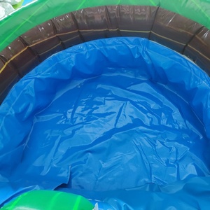 Toboganes Acuáticos Inflables Comerciales Largos para Niños y Adultos, Tobogán Inflable para <span class=keywords><strong>Piscina</strong></span> - Product Image 6
