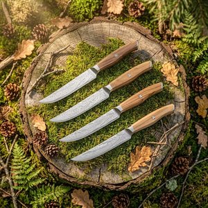 Ensemble de couteaux à steak en acier Damas faits à la main, 4 pièces, manche en bois avec étui en cuir, couteaux de survie professionnels de style Viking - Product Image 1