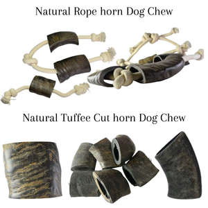 Cuenco Comedero para Mascotas de Cuerno de Búfalo 100% Natural y Saludable, de Alta Calidad, Ecológico, Mediano/Extragrande, con Capacidad de 5L - Product Image 4