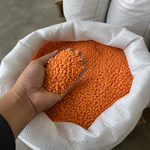 Lentejas Orgánicas Secas Estilo Pure Harvest, Cultivadas con Agricultura Natural y Suministro Confiable para Compradores de Alimentos Orgánicos - Product Image 4