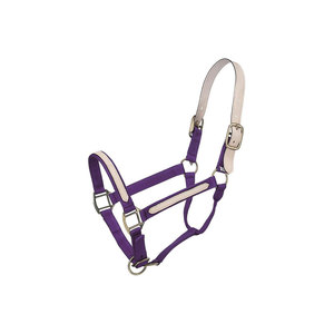 Cabestro de nailon morado para caballo con ribete blanco y hebillas metálicas - Product Image 1