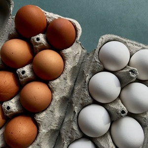 Suministro al por Mayor de Huevos de Gallina - Product Image 3