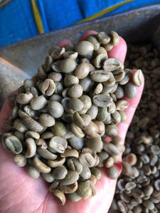 HANCOFFEE Cosecha 2026 Granos de Café Robusta Crudos/Verdes - Precio Mayorista Más Bajo por TONELADA - Empaquetados en Bolsas de 60 kg/PP/Yute - Product Image 2