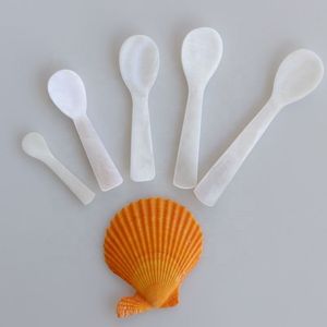 Cuillère de luxe en nacre naturelle pour café et dessert, faite à la main, écologique, fournisseur en gros de vaisselle - Product Image 1